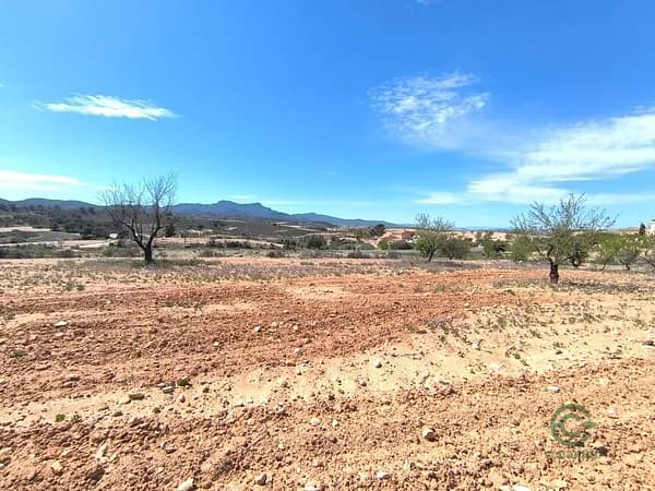 Finca agrícola de 0,34 ha en venta en Jumilla, Murcia