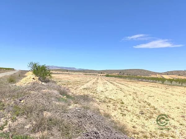 Finca agrícola de 4,16 ha en venta en Torre - pacheco, Murcia