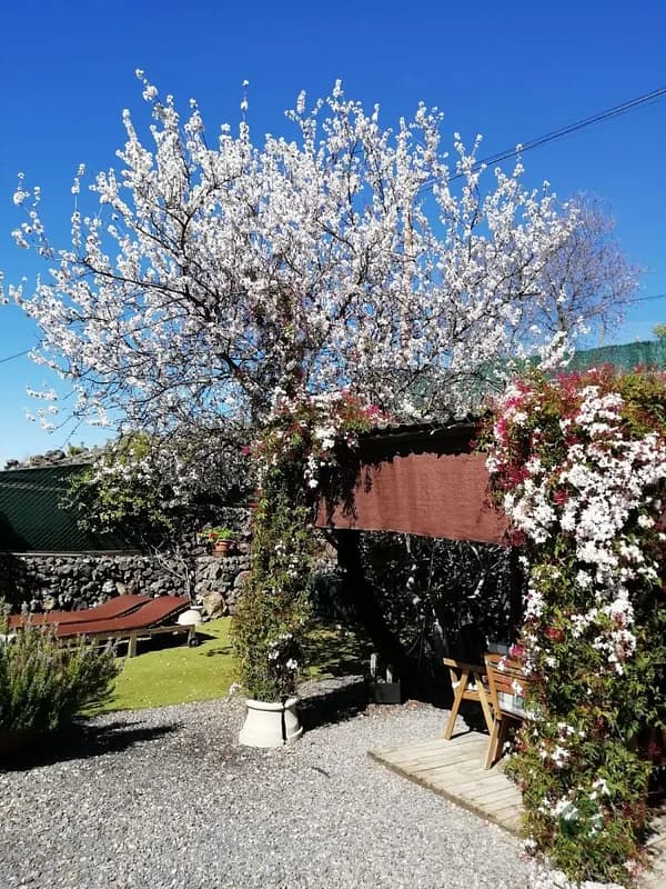 Recreation property of 0,3 ha for sale in Tenerife