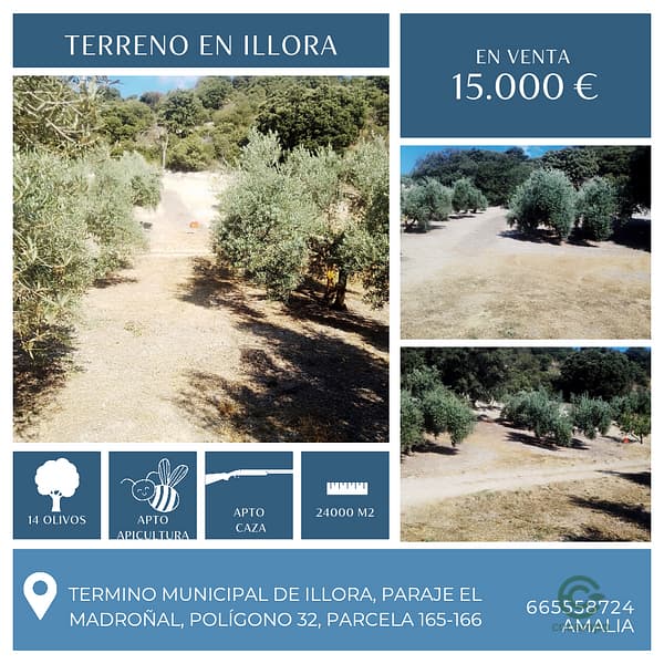 Finca rústica de 2,4 ha en venta en Granada