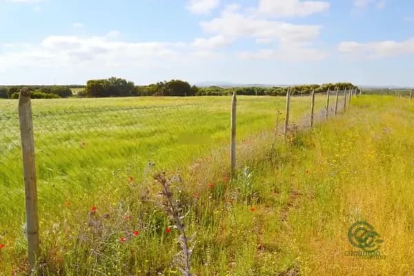 Finca rústica de 13 ha en venta en San carlos del valle, Ciudad real