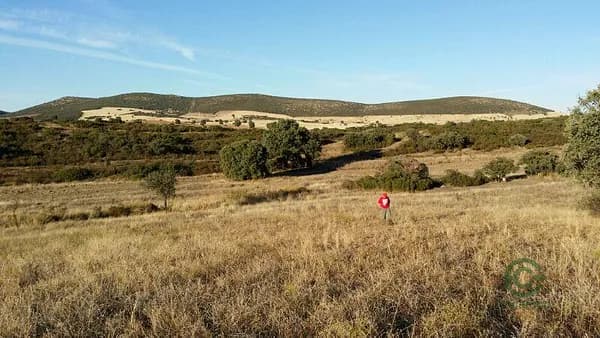 Finca rústica de 700 ha en venta en Viso del marques, Ciudad real