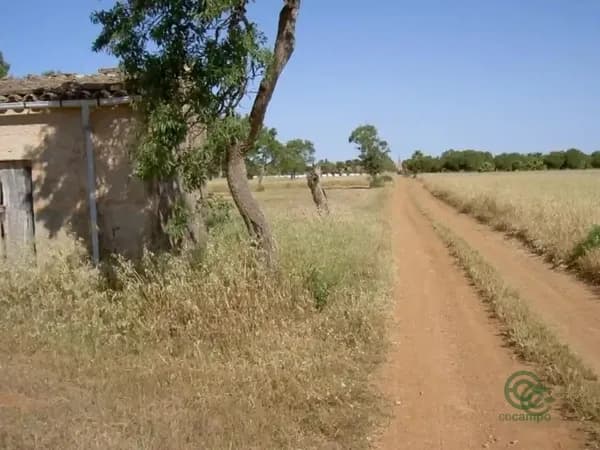 Finca agrícola de 3 ha en venta en Islas baleares
