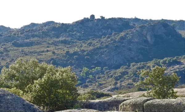 Finca rústica de 1000 ha en venta en Madrid