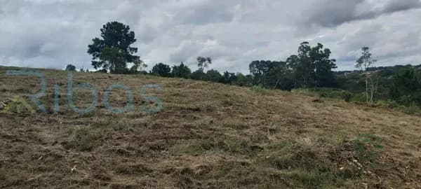 Fazenda rustica de 2,01 ha para venda em São paulo