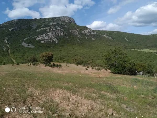 Finca cinegética de 75 ha en venta en Ciudad real