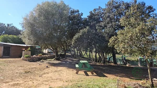 Finca rústica de 0,8409 ha en venta en Vall d'alba, Castellon