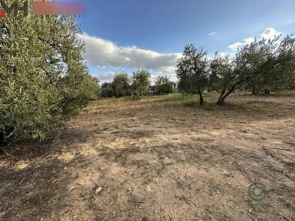 Finca agrícola de 0,36 ha en venta en Arahal, Sevilla