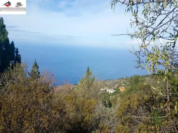 Finca de recreo de 1,5532 ha en venta en Tijarafe, Santa cruz de tenerife