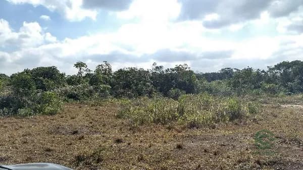 Fazenda agrícola de 2,75 ha para venda em São paulo