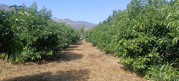 Finca rústica de 0,1617 ha en venta en El valle, Granada