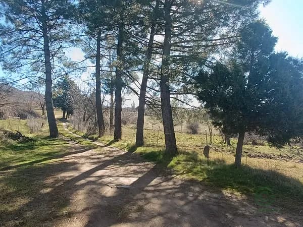 Finca rústica de 1 ha en venta en Madarcos, Madrid