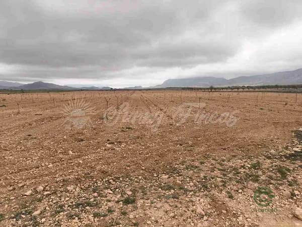 Terreno urbano de 3,6 ha en venta en Yecla, Murcia