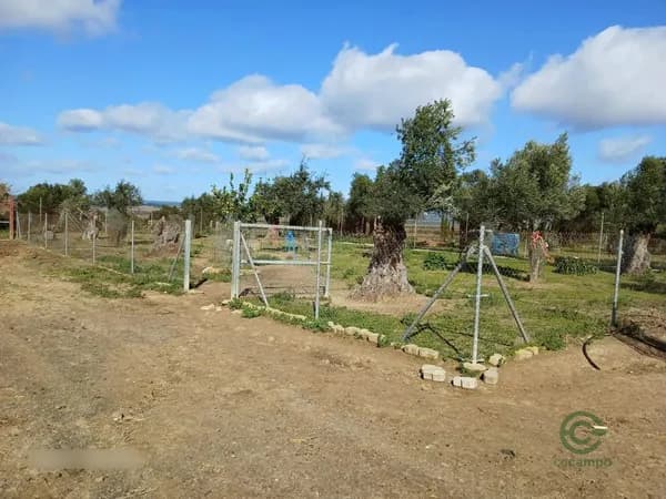 Finca agrícola de 0,6 ha en venta en Niebla, Huelva