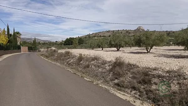 Finca agrícola de 2,1215 ha en venta en Salinas, Alicante