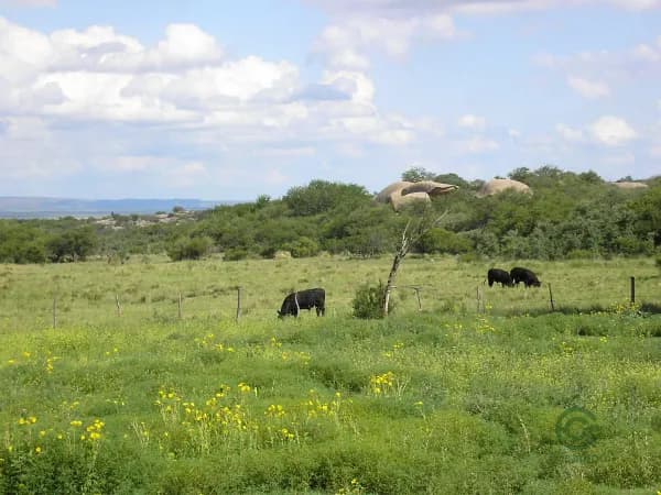 Finca rústica de 5860 ha en venta en San luis