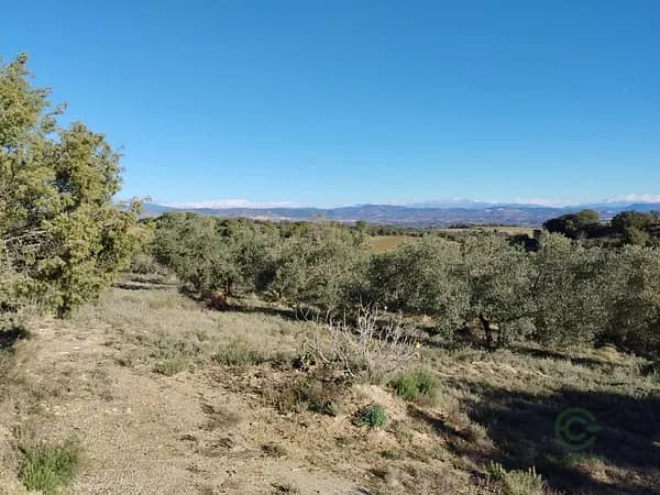 Finca rústica de 2,5948 ha en venta en Barbastro, Huesca