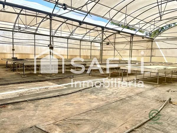 Terreno urbano de 1,0289 ha en venta en Alfarp, Valencia