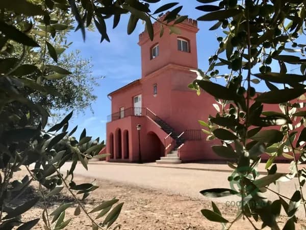 Finca agrícola de 27 ha en venta en Badajoz