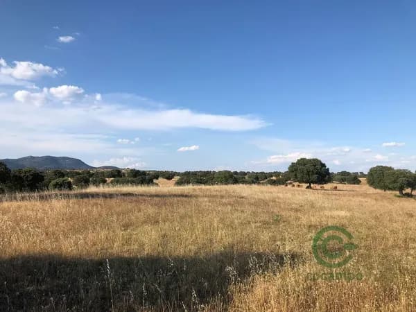 Finca rústica de 20,7 ha en venta en Toledo