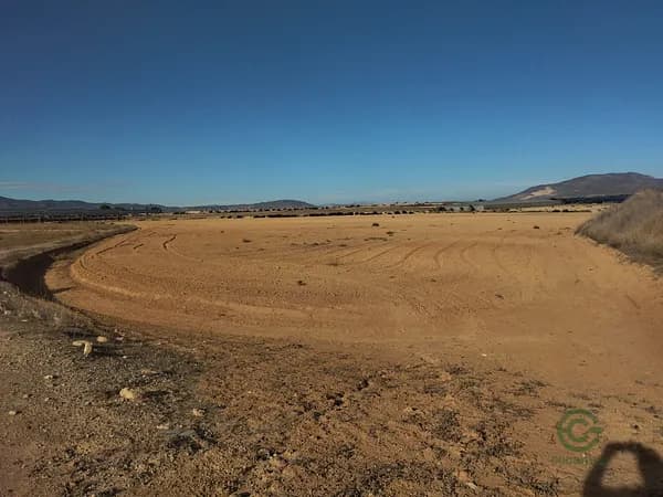 Agricultural property of 3,4 ha for sale in Murcia