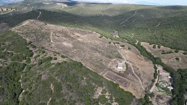 Finca agrícola de 10,0565 ha en venta en Manilva, Malaga