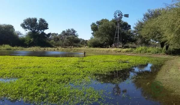 Finca rústica de 740 ha en venta en Santiago del estero