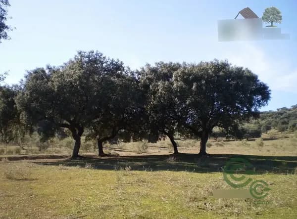 Finca rústica de 215 ha en venta en Badajoz
