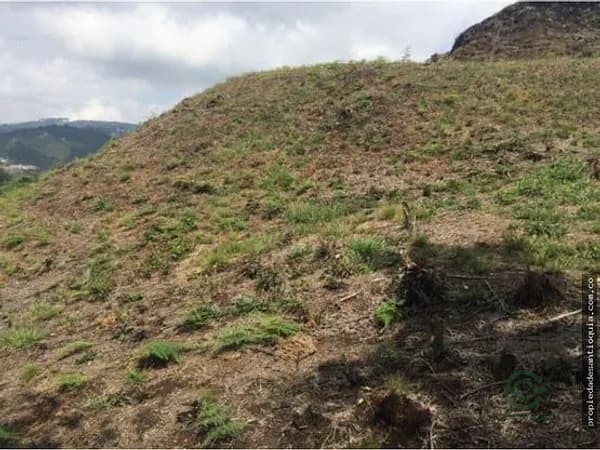 Finca rústica de 0,8119 ha en venta en Antioquia