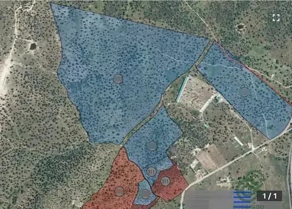 Finca rústica de 56 ha en venta en Córdoba