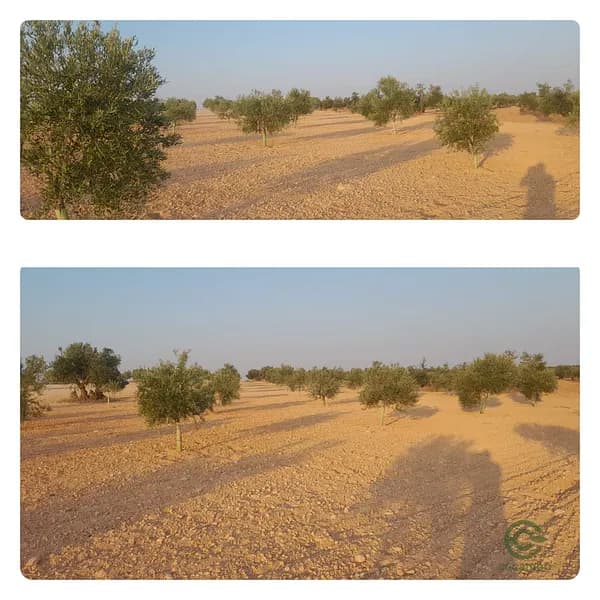 Finca agrícola de 0,3 ha en venta en Toledo