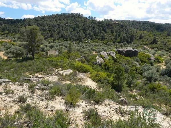 Finca rústica de 5,33 ha en venta en Zaragoza