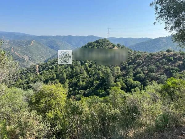 Finca rústica de 245 ha en venta en Córdoba, Córdoba