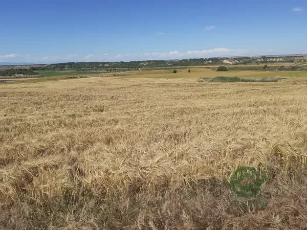 Finca rústica de 33 ha en venta en Huesca