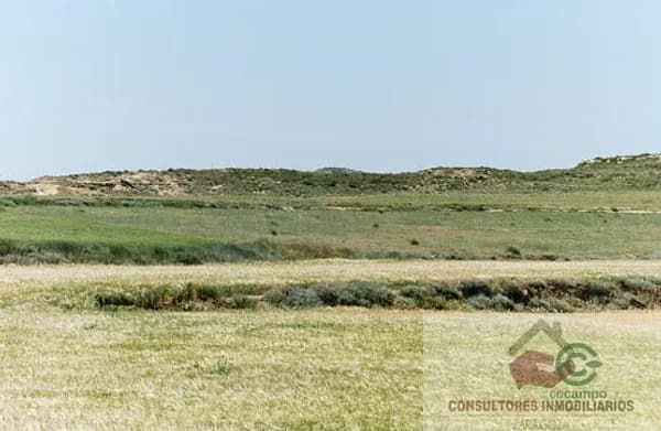 Finca agrícola de 0,7375 ha en venta en Luna, Zaragoza