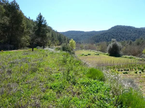 Finca agrícola de 0,7 ha en venta en Tarragona