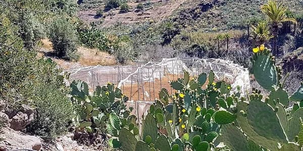 Finca agrícola de 0,2828 ha en venta en San bartolome de tirajana, Las palmas