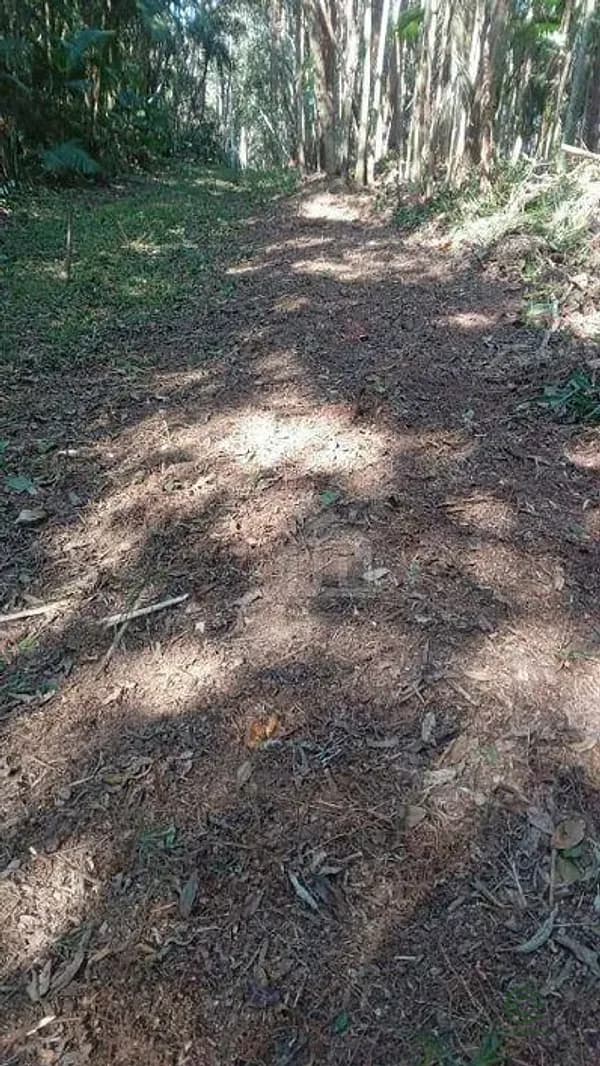 Fazenda rustica de 3,38 ha para venda em São paulo