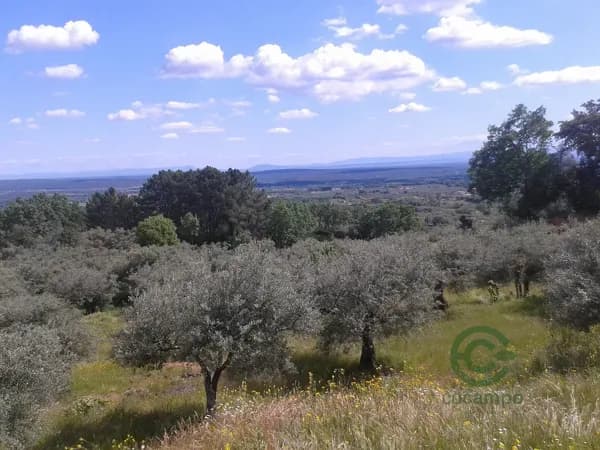 Finca rústica de 0,5 ha en venta en Ávila