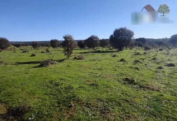 Finca rústica de 80 ha en venta en Cáceres