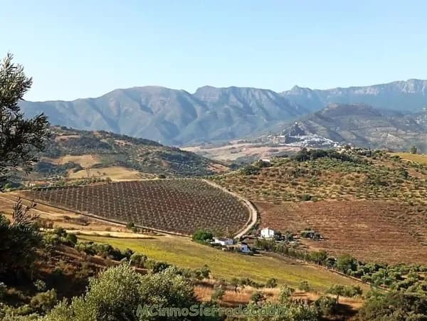 Finca agrícola de 5,9534 ha en venta en Algodonales, Cadiz