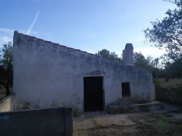 Finca agrícola de 4,29 ha en venta en Mas de barberans, Tarragona