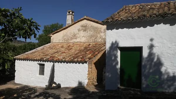 Finca agrícola de 6,7 ha en venta en Villacarrillo, Jaén