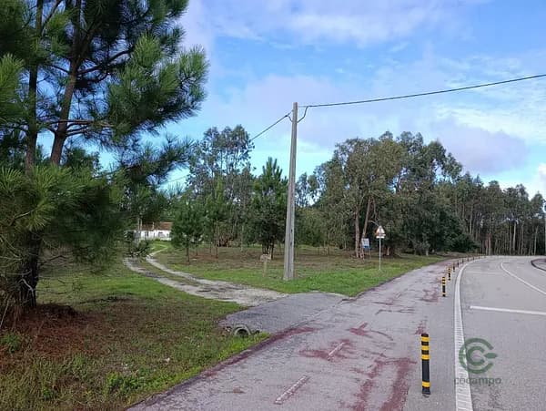 Finca agrícola de 4,442 ha en venta en Marinha grande, Leiria