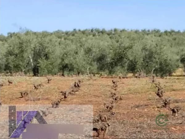 Finca agrícola de 5,58 ha en venta en Badajoz, Badajoz