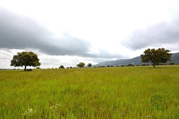 Finca rústica de 1470 ha en venta en 