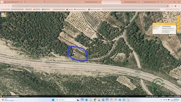 Finca forestal de 0,1866 ha en venta en Benafer, Castellon
