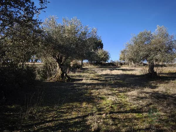 Finca rústica de 1,157 ha en venta en Segura de león, Badajoz