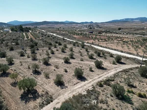 Finca agrícola de 0,4254 ha en venta en Pinoso, Alicante