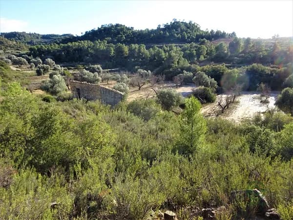 Finca rústica de 3,38 ha en venta en Maella, Zaragoza